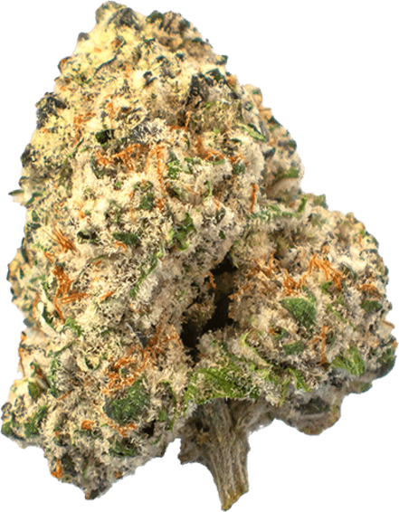 Modified Grapes image 1